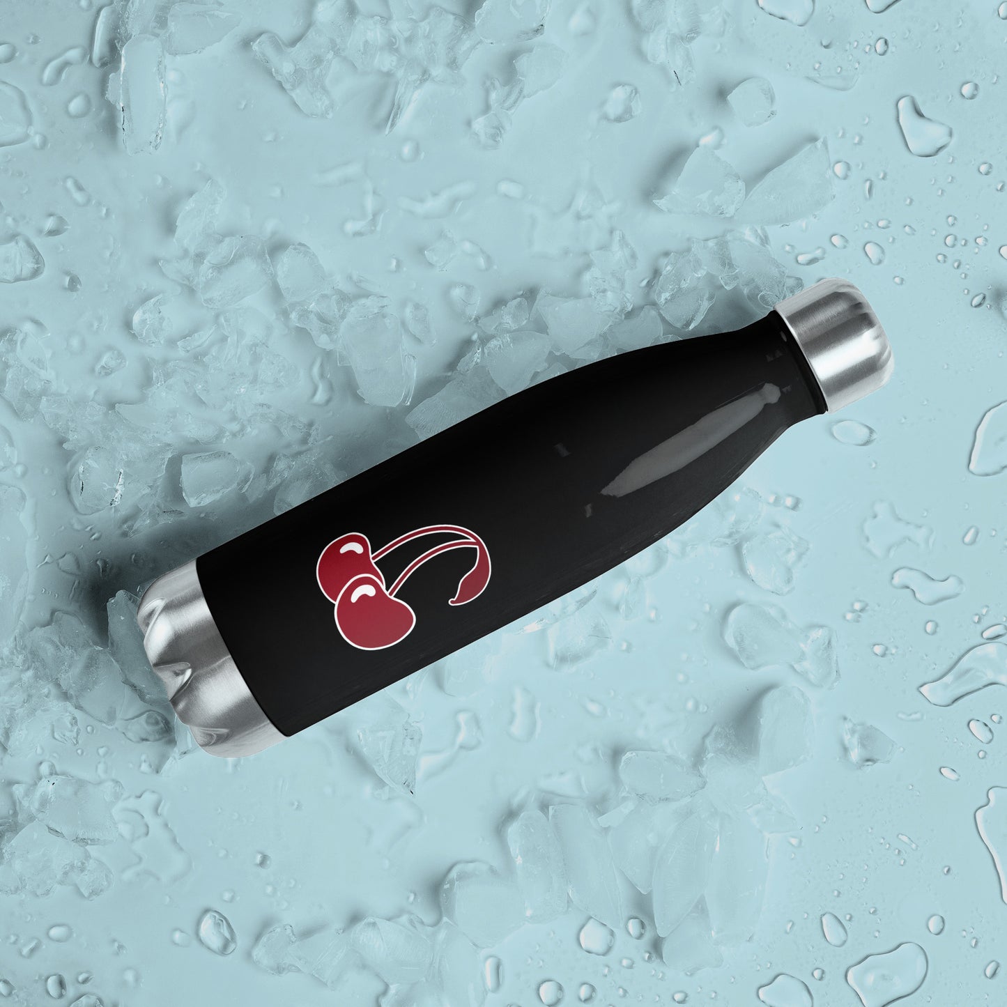 Ambitchous - Stainless Steel Water Bottle